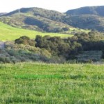 KB Home plans to build 461 homes in Runkle Canyon, adjacent to the highly polluted Rocketdyne site.