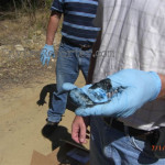 A tarry material found in Runkle Canyon contains high levels of Benzene, a carcinogen.