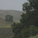 RECALL RANCH