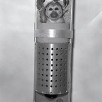 Space Monkey Business Q & A