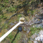 EnviroReporter.com's analysis of the final DTSC Runkle Canyon Response Plan