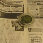 Green Tea – August 30, 2011