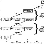 Radon Progeny Risk? December 15, 2011
