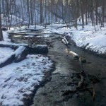 Seasons Readings