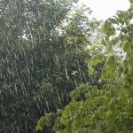 HOT Michigan Rain 12/30/11 Pt 1