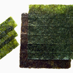 Japanese Seaweed Radiation Doubles