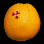 No Place to Hide – Fukushima Fallout Findings Widespread