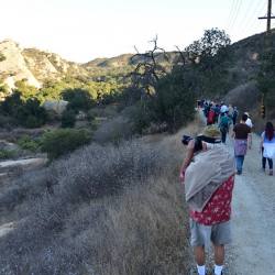 10-24-18-SSFL-SBZ-uncut-fire-road-weeds-FAIR-USE-4
