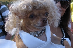 Bow Wow Ween - 2006