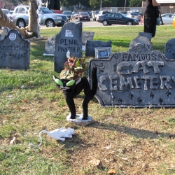 2006-Bow-wow-ween-1