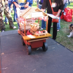 2006-Bow-wow-ween-14