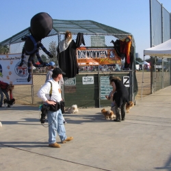 2006-Bow-wow-ween-2