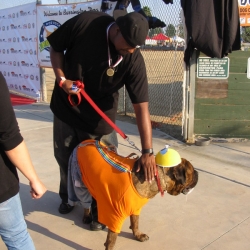 2006-Bow-wow-ween-29