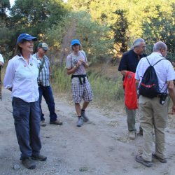 10-16-19-Sunset-Sip-fire-violations-2