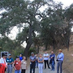 10-16-19-Sunset-Sip-fire-violations-4