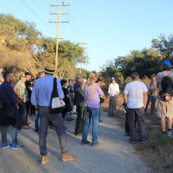 10-16-19-Sunset-Sip-fire-violations-5