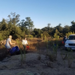 10-8-19-SSFL-SBZ-hot-truck-engines-brush