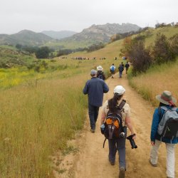 4-20-19-SSFL-SBZ-weed-choked-road