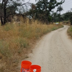 6-27-19-SSFL-SBZ-uncut-vegetation-violates-fire-code