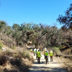 8-23-19-SSFL-SBZ-weeds-illegally-line-the-road-1