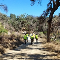 8-23-19-SSFL-SBZ-weeds-illegally-line-the-road-2