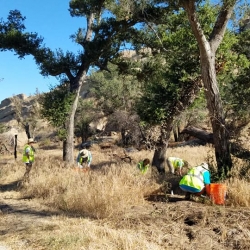 8-23-19-SSFL-SBZ-weeds-properly-cut-back