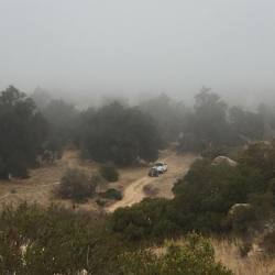 8-28-18-SSFL-SBZ-uncut-road-brush-grasses