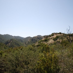 DSC_8011