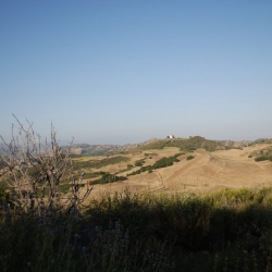 DSC_8120