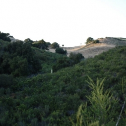 DSC_8180