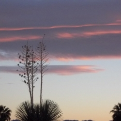 lake-havasu-chemtrails-018