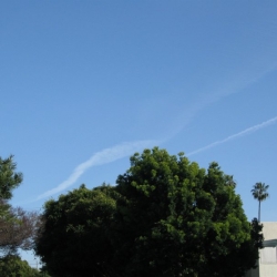 Santa-Monica-Chemtrails-021