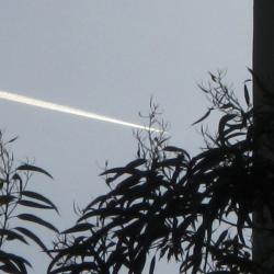 Santa-Monica-Chemtrails-044