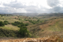 Ahmanson Ranch - Nature