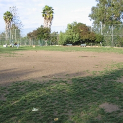 Dog-Park-16