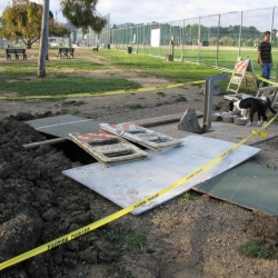 Dog-Park-2