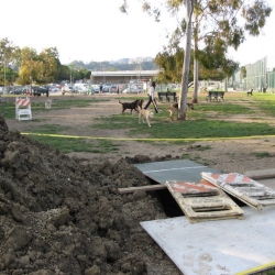 Dog-Park-20
