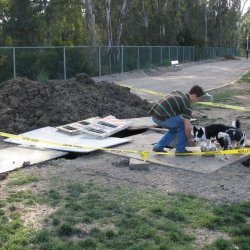 Dog-Park-3