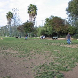 Dog-Park-5