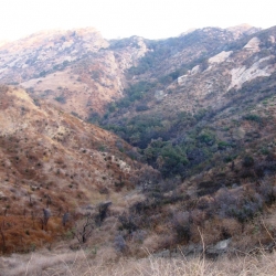 2006 Brandeis-Bardin 1