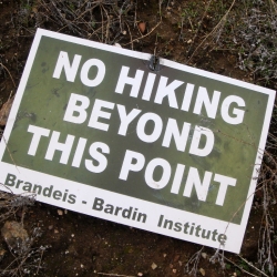 2007 Brandeis-Bardin by William Preston Bowling 1