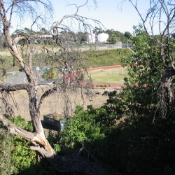 Brentwood-School-11