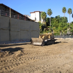 Brentwood-School-16