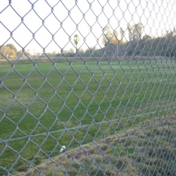Brentwood-School-64.JPG
