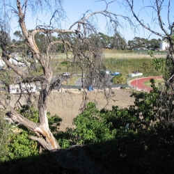 Brentwood-School-7.JPG