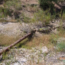 CIMG0586