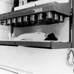brookhaven_whole_body_counter