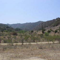 IMG_8117.JPG