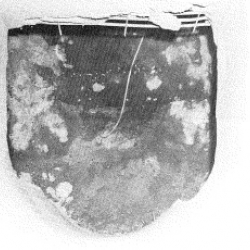 STIR-20