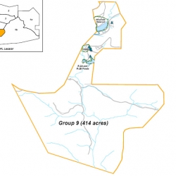 RFI_Group_9